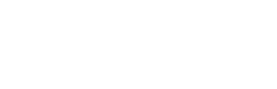 Lifestyle Logo
